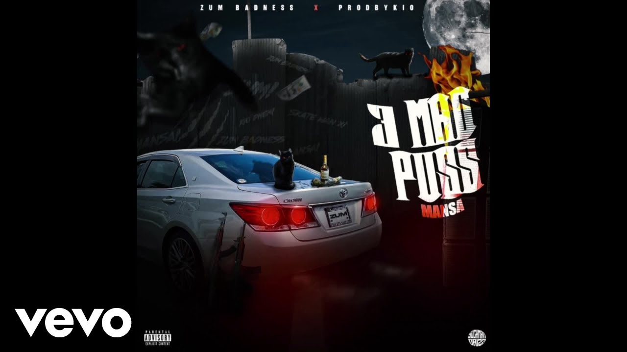 Mansa - 3 Mad Puss | Official Audio