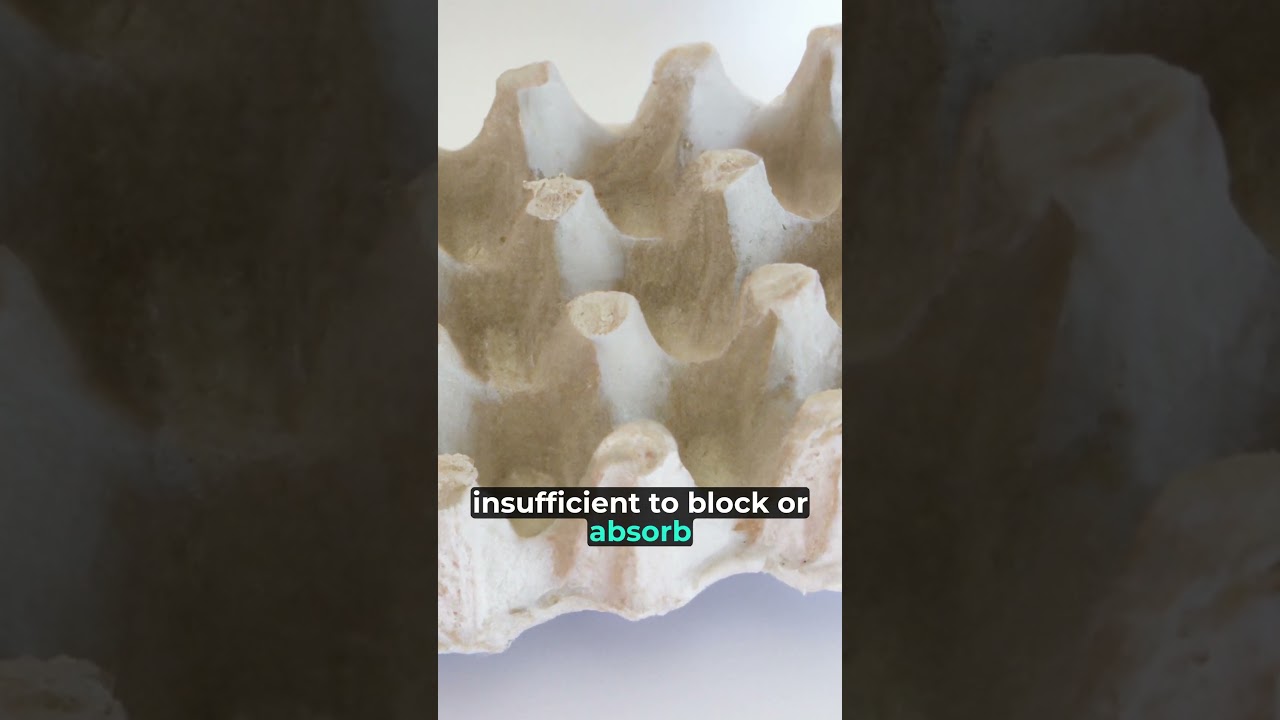 Are Egg Cartons Really Good for Soundproofing? (Spoiler: No!)