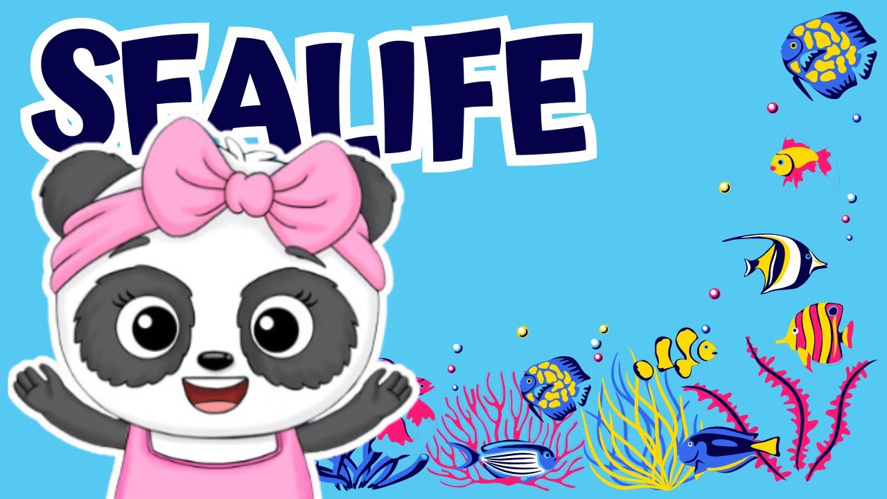 Learn Sea Animals for Kids | Kindergarten, Preschool, ESL | Video Flashcards | Pixie Fun Kids