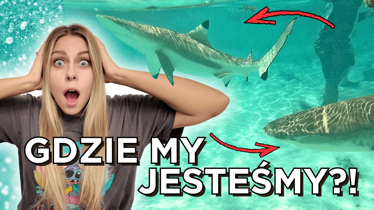 🇵🇫#2 WYSPA MOOREA: PŁYWAMY KAJAKIEM Z REKINAMI! | Polinezja Francuska VLOG