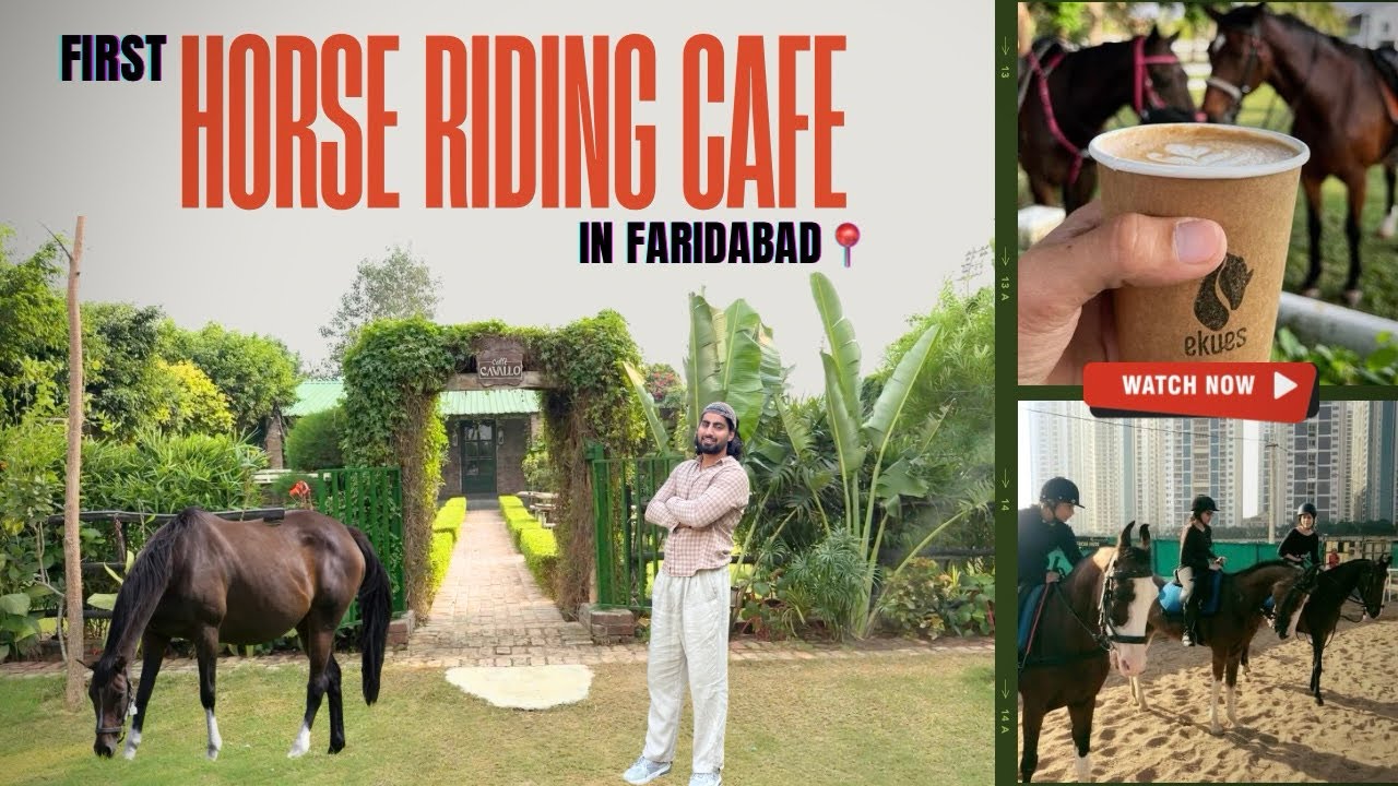 🤩First Time Horse 🐎 Riding Cafe in Faridabad🔥 😍 | Must Try Experience! | Cavallo Horse  cafe 🍽️ 