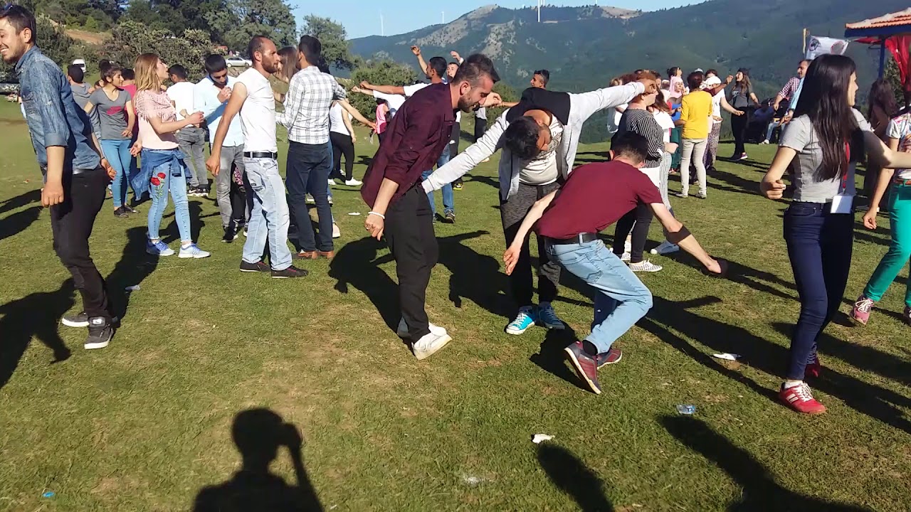 Yayla şenliği