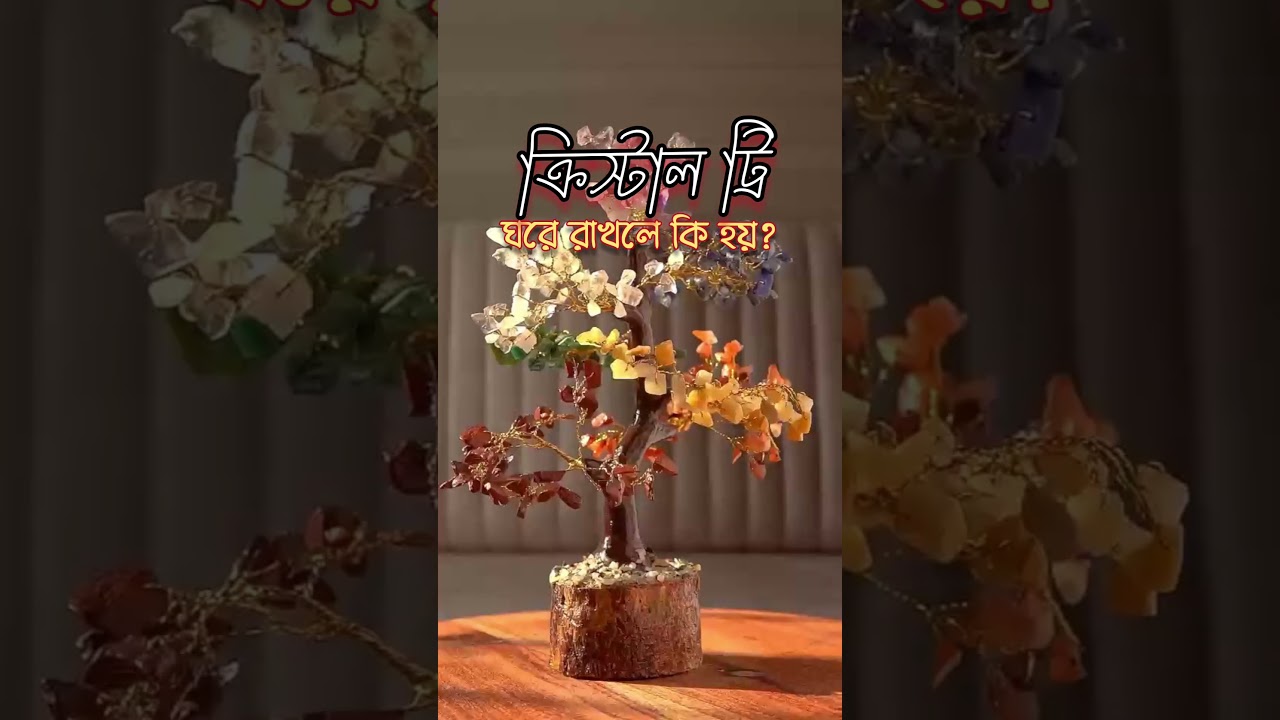 ক্রিস্টাল ট্রি ঘরে রাখলে কি হয় #shortsvideo #crystaltree #crystals #crystal #shorts #tree