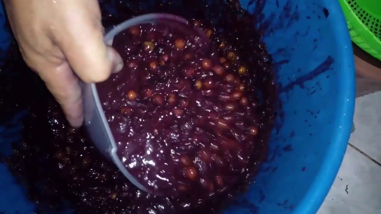 COMO FAZER AÇAÍ CASEIRO DO COMEÇO AO FIM