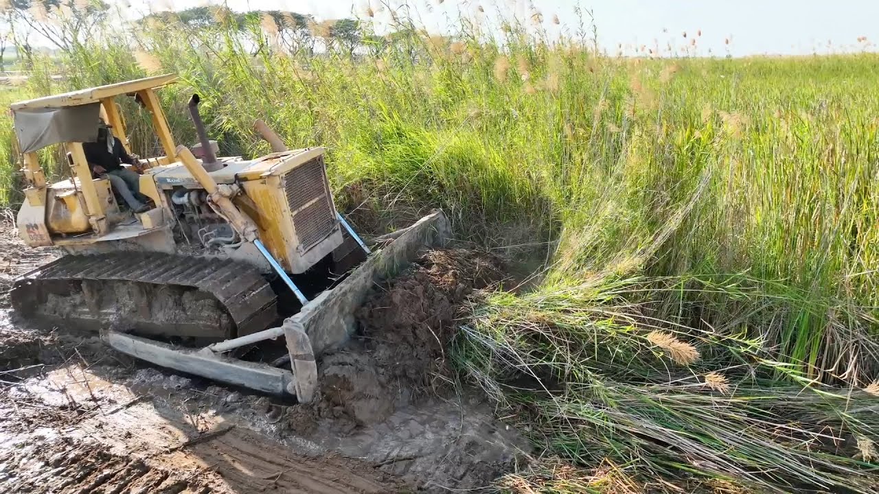 Excellent Technique Skills Operator Bulldozer Land Clearing Brush Strong Power Pushing Moving