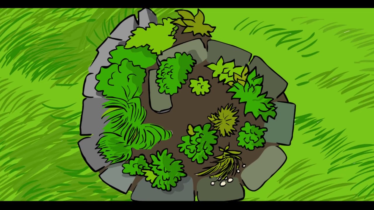 Patterns - Formidable Vegetable (Official Permaculture Music Video)