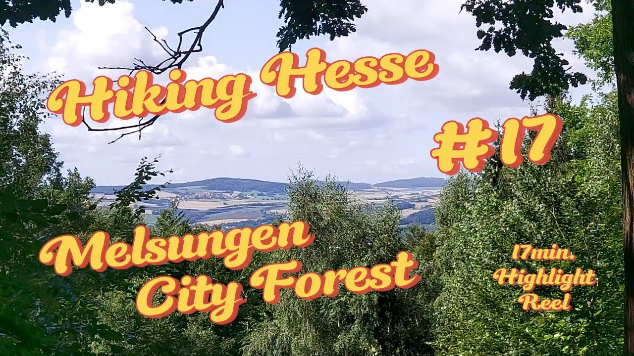 Wandern in Hessen. Melsungen, Stadtwald. Viel zu entdecken.