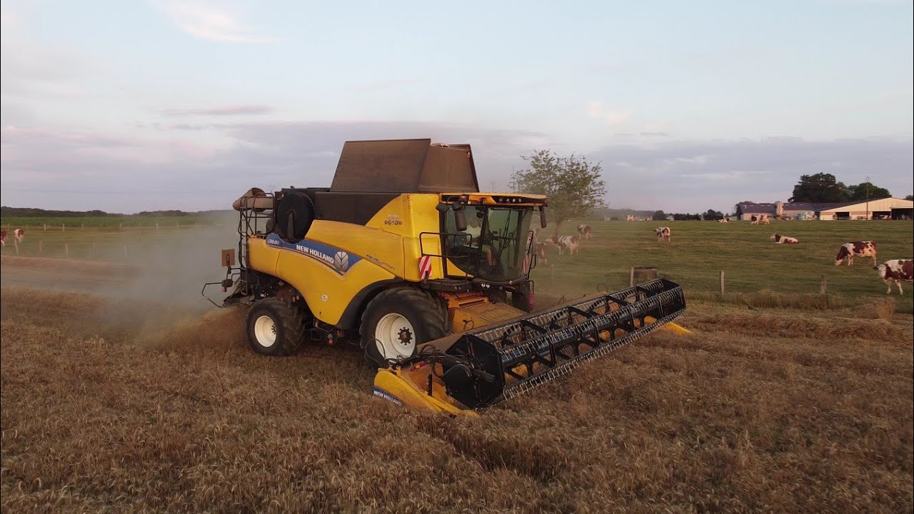 Moisson 2020 new holland 8.80 (ETA ROGUE)