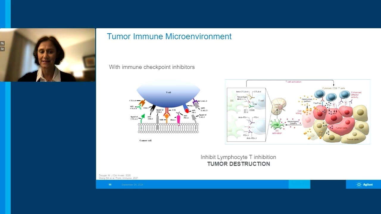 PD-L1 in Gastric and Esophageal-Gastric Junction Carcinoma