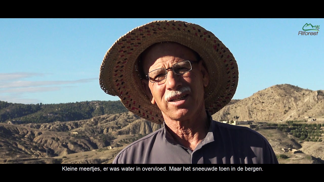 Toen het nog regende