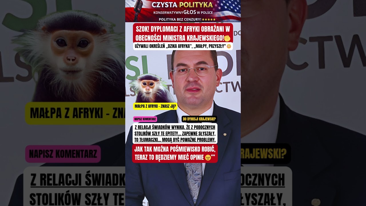 SZOK! DYPLOMACI Z AFRYKI OBRAŻANI W OBECNOŚCI MINISTRA KRAJEWSKIEGO! ✊