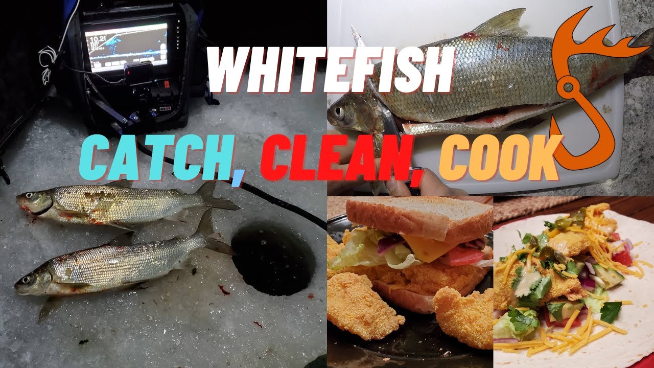 Whitefish Catch Clean and Cook