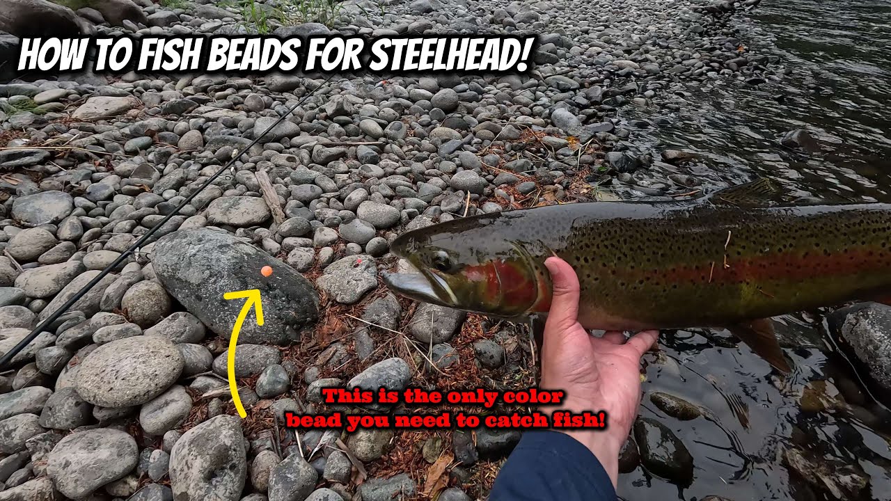 How To Fish Beads For STEELHEAD! (How to & Setup)