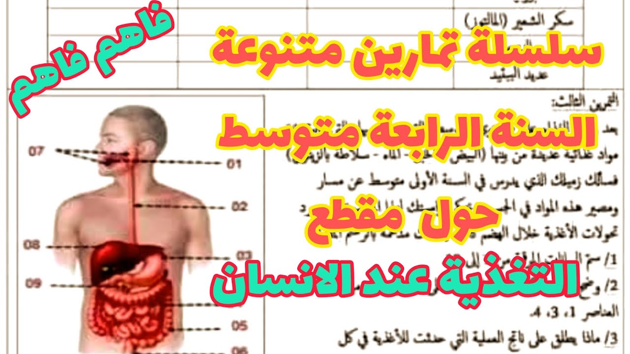سلسلة تمارين متنوعة في التغذية عند الانسان للسنة الرابعة متوسط علوم طبيعية
