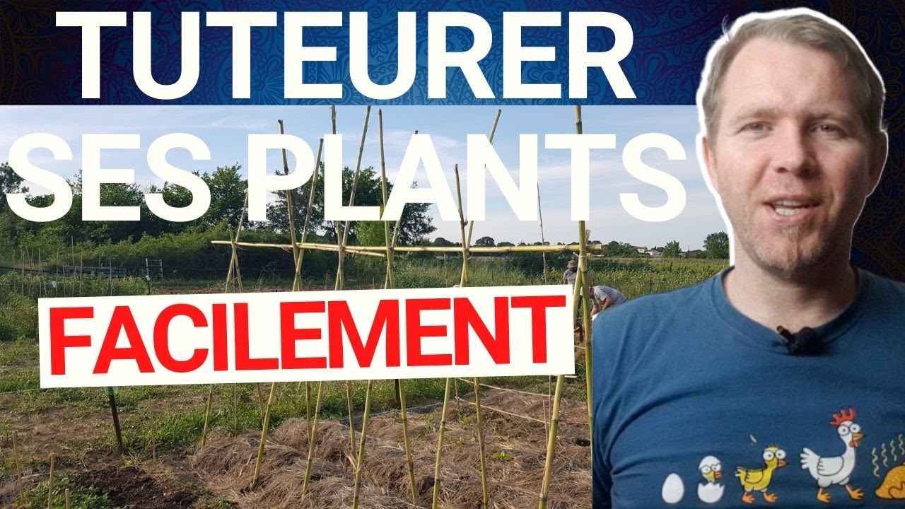 (TUTO) 🍅 Comment tuteurer ses plants ou légumes 🌶 (créer une structure en bambou ou autre)