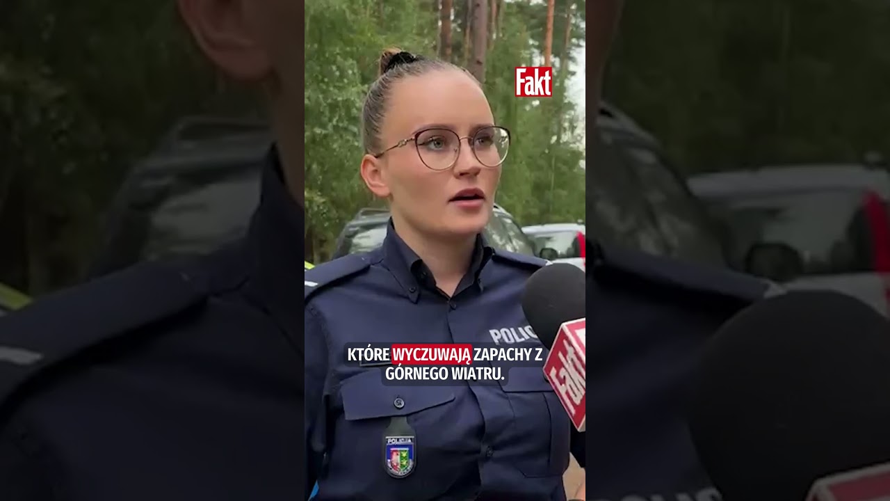&bdquo;SPRAWDZAMY KAŻDY TROP&rdquo;. TRWAJĄ POSZUKIWANIA WITOLDA PŁ&Oacute;CIENNIKA