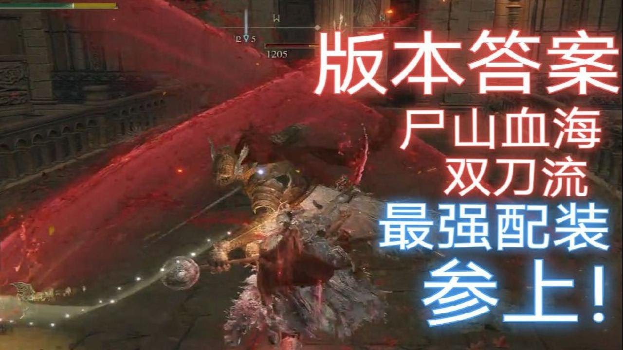 【艾尔登法环】尸山血海双太刀感应流最强毕业配装以及演示。