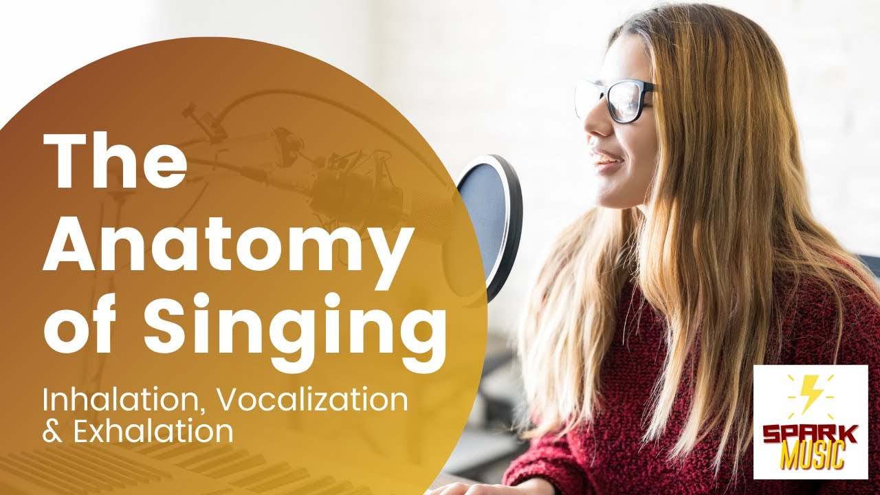 The Anatomy of Singing: How the Diaphragm, Larynx, and Vocal Folds Work