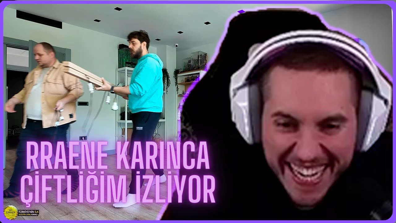 RRAENE - KARINCA ÇİFTLİĞİM TAŞINMADA BÜYÜK ADIM  BÖLÜM 2-3 İzliyor! | @Karincaciftligim @RRaenee