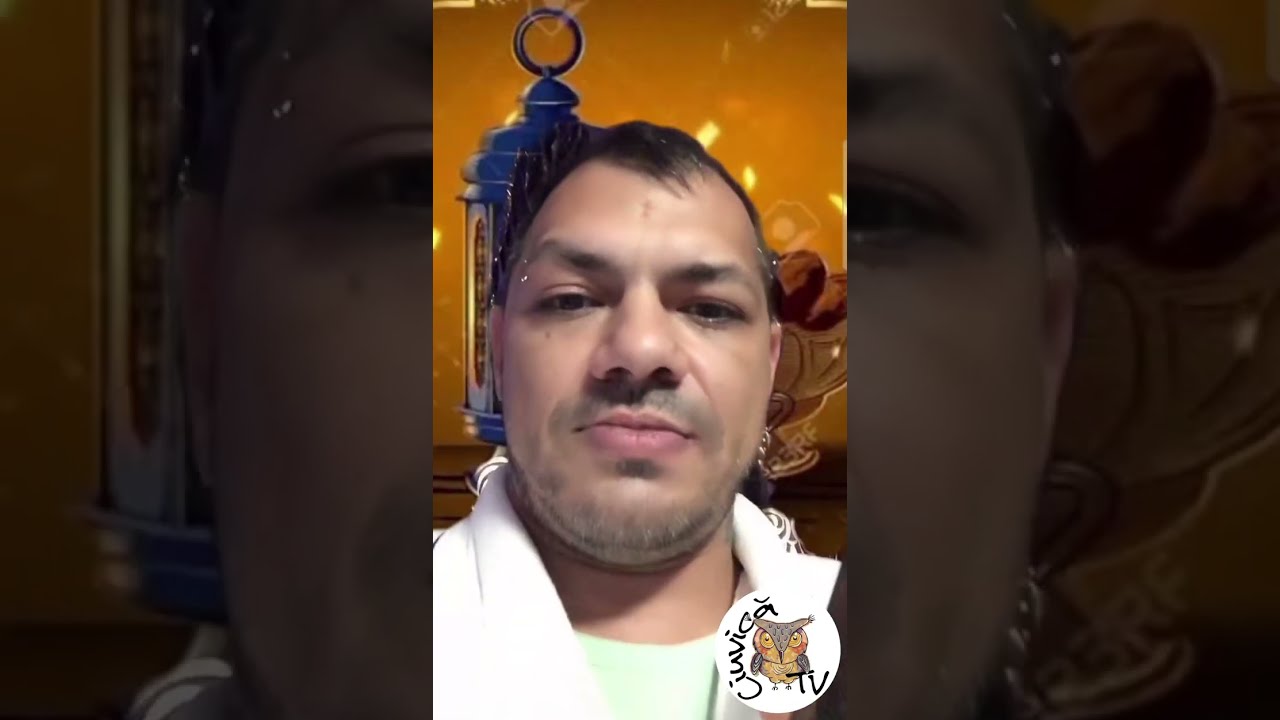 Vego Info Mircea Nebunu, Florin Salam si Migdale! 🦉🤔💣🔝