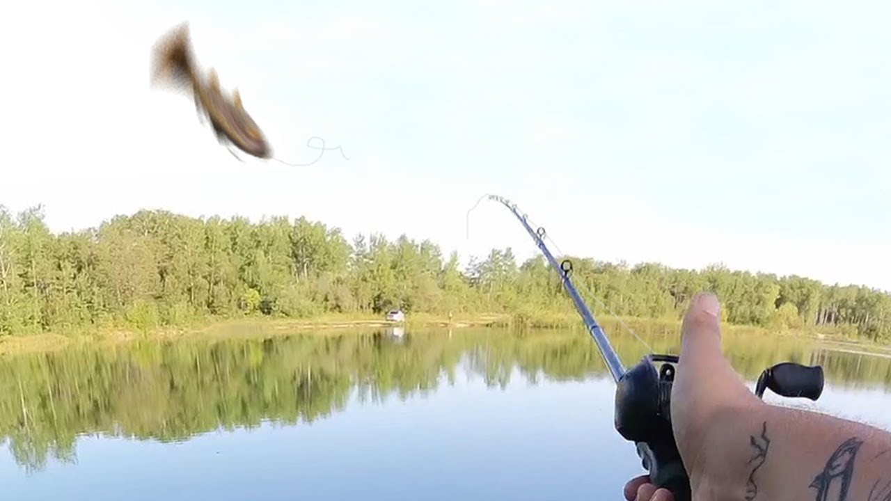 A Lure Worth Diving For! PB Bass Reynolds Ponds