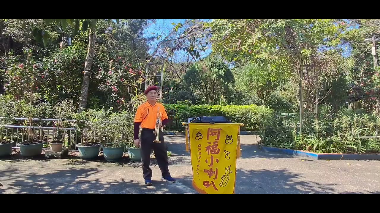 酒杯情(惚れた女が死んだ夜は)-阿福小喇叭