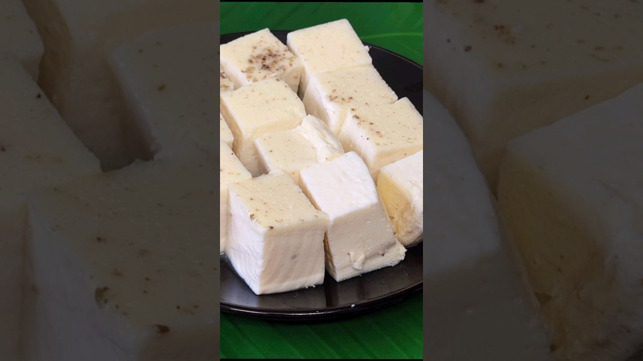 Colostrum Milk Pudding Recipe| Healthy sweet | Seempal | Sabees Kitchen #milkpudding