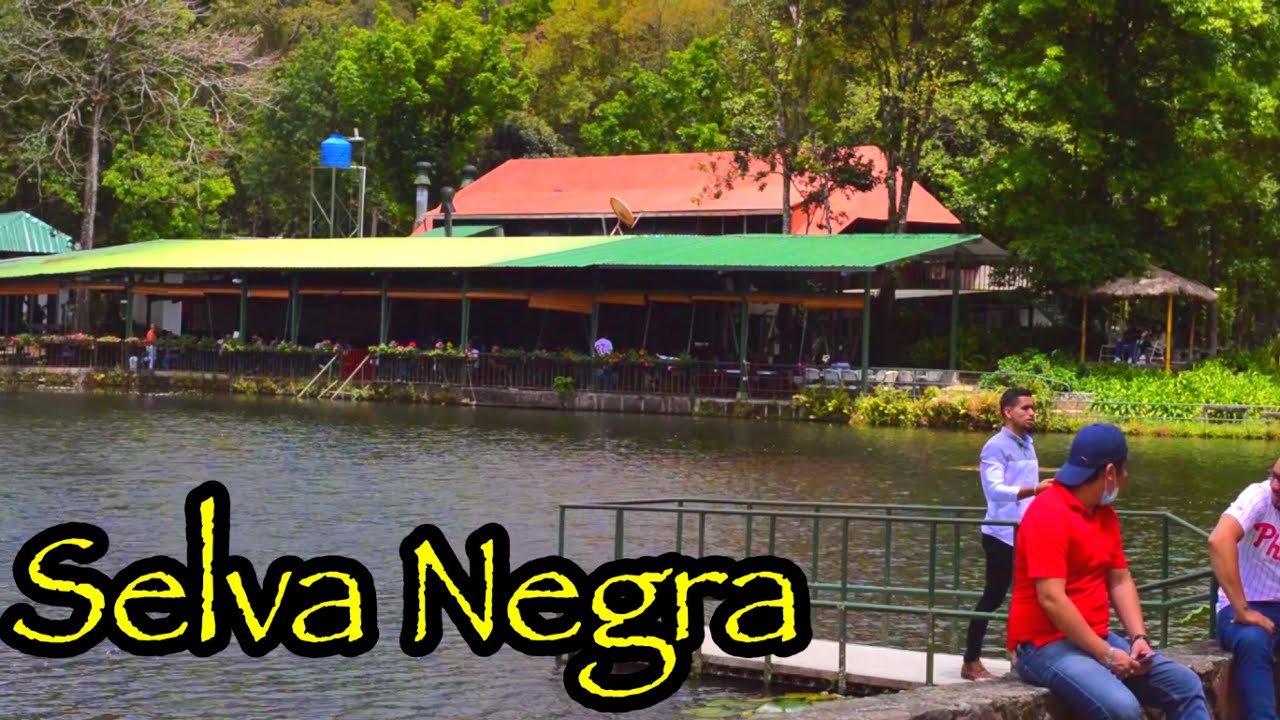 Visitando Selva Negra Matagalpa Nicaragua