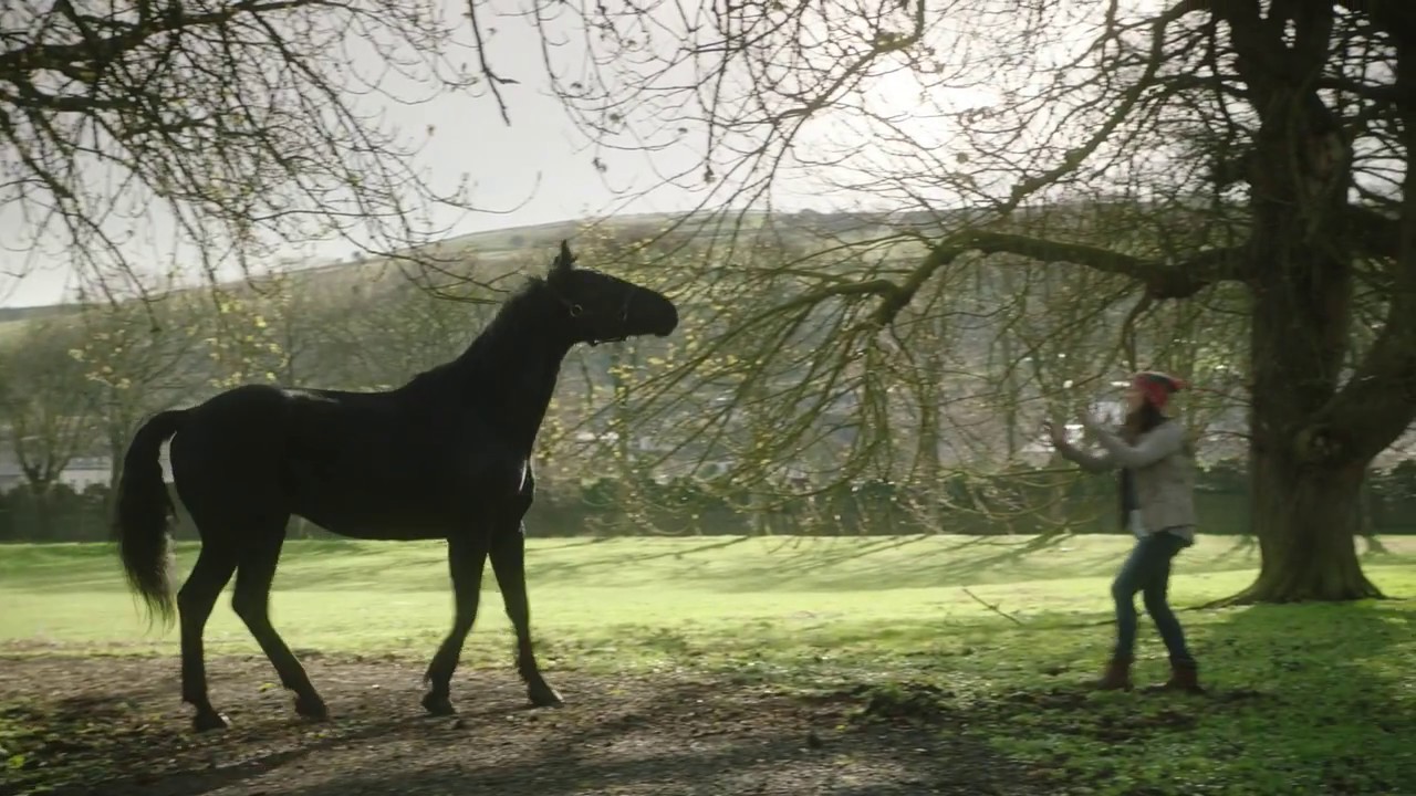 Ride: Kit Meets Covington Book Trailer