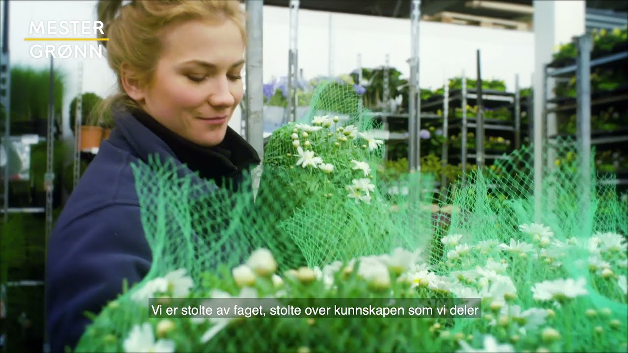 Mester Gr&oslash;nn  - Norges st&oslash;rste blomsterkjede