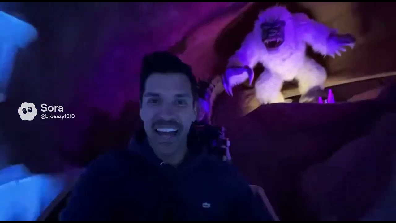 Varun in Disneyland