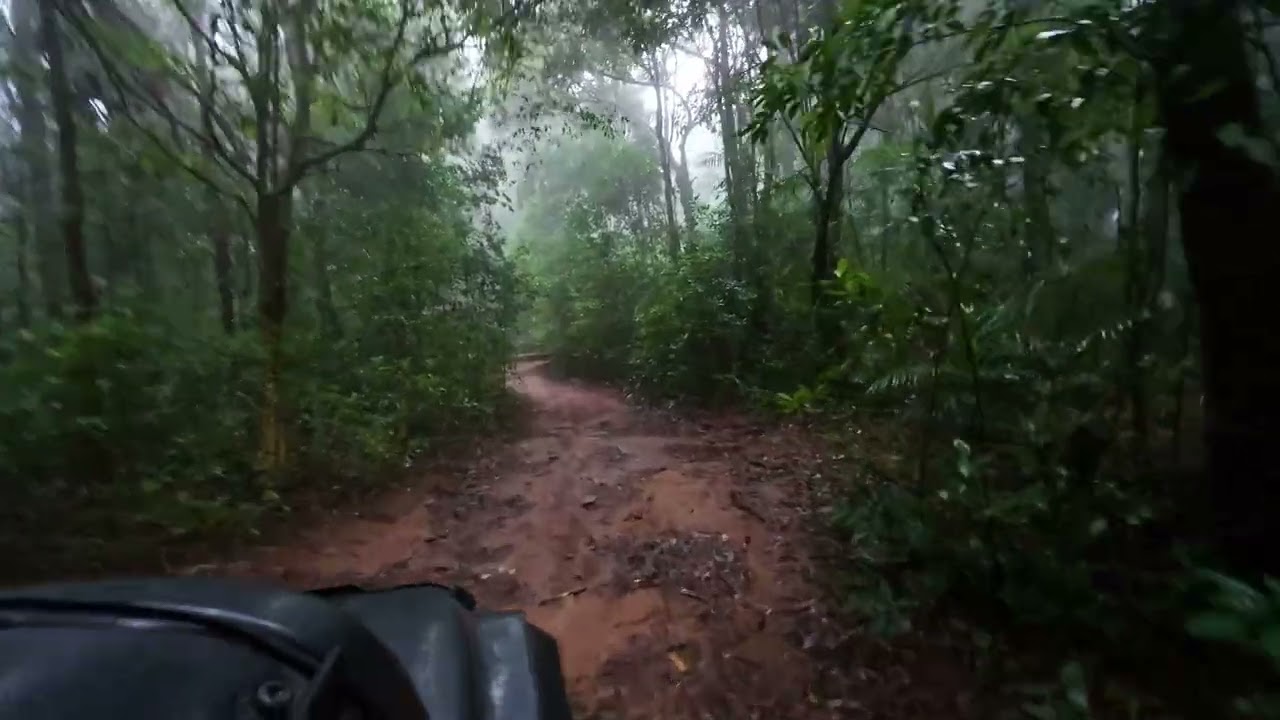 Way to Jogigundi Falls - Someshwar wildlife sanctuary Agumbe 
