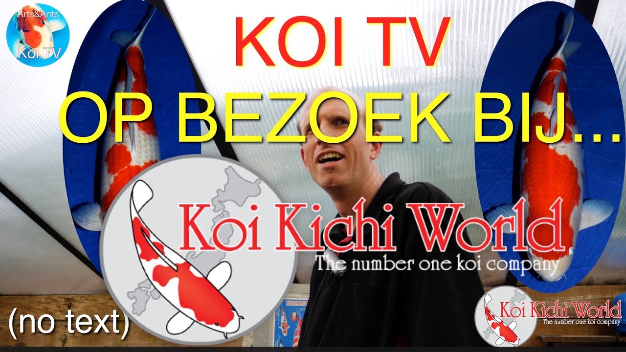 Koi TV  