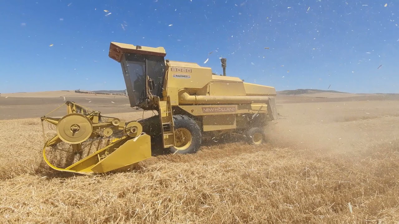 Harvest 2021 De Hoop