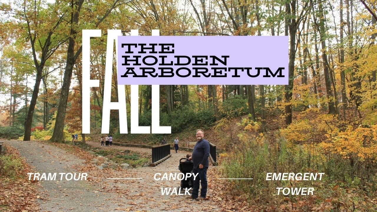 Experiencing Fall at The Holden Arboretum