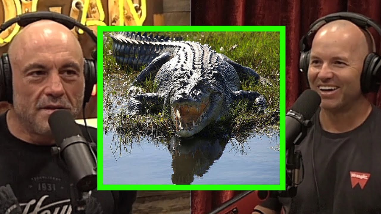 Adam Greentree's scary encounters with the Australian saltwater crocodile | joe rogan