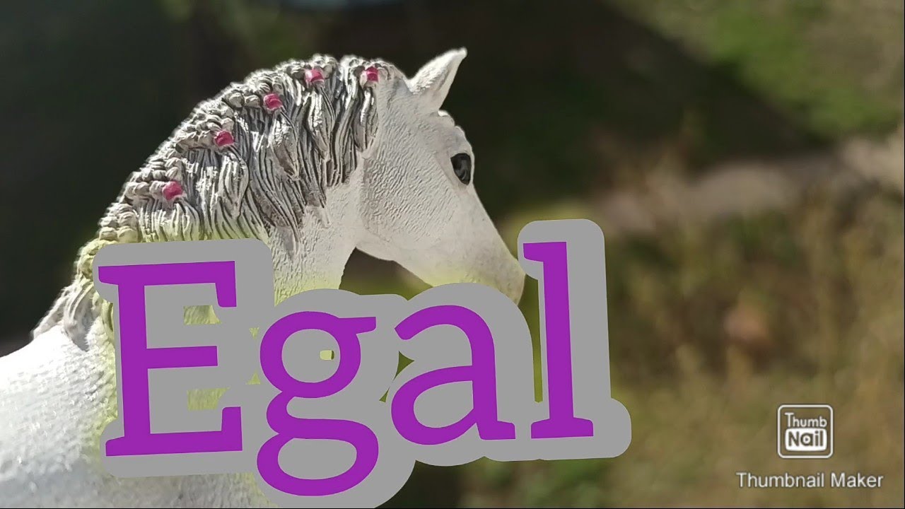Egal//Musikvideo//Schleich