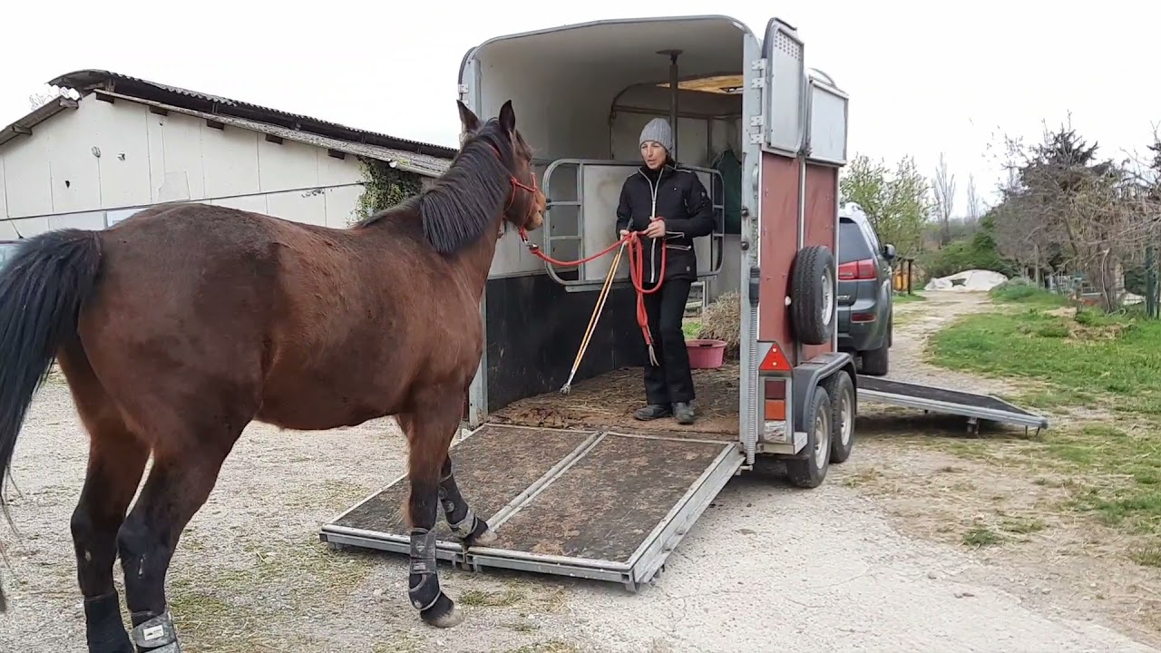 RE-EDUQUER SON CHEVAL EN VAN