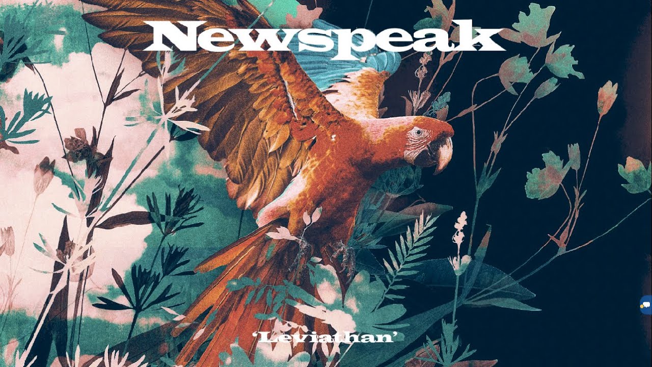 Newspeak - Where Is Your Mind (Official Audio)