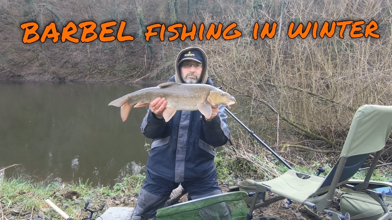 3 espèces de gros poissons en pêchant le BARBEAU en hiver | Ourthe | Ep.13