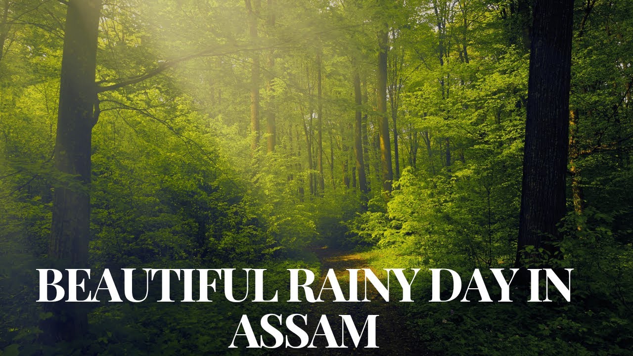 Beautiful Rainy Day | Beautiful Northeast| Barish ke mausam me Assam| #Vlogs_of_ahmed #nature #assam