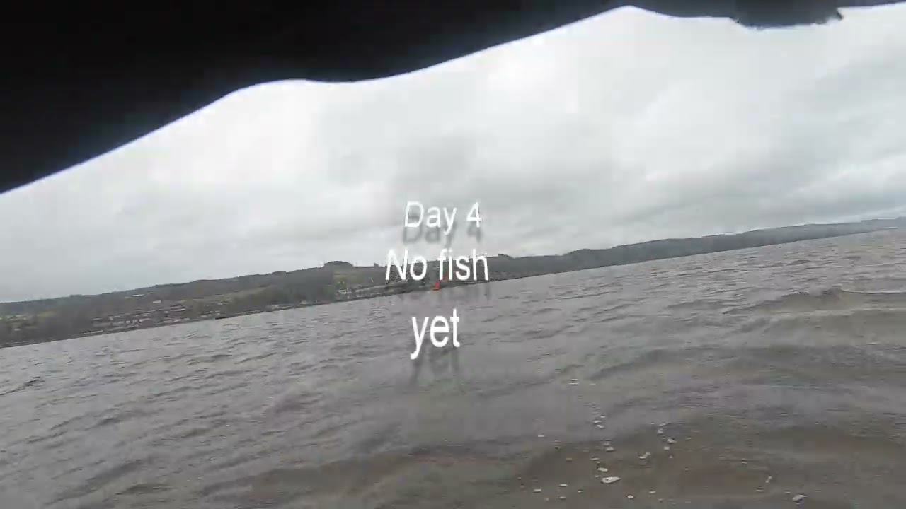 Sea Trout Safari Clyde 2024
