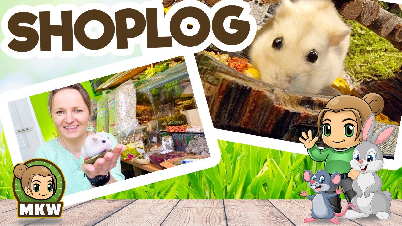 👝 SHOPLOG Mei 2021 Bodembedekking, Snacks en meer! 🐹 Marika's Knaagdierwereld