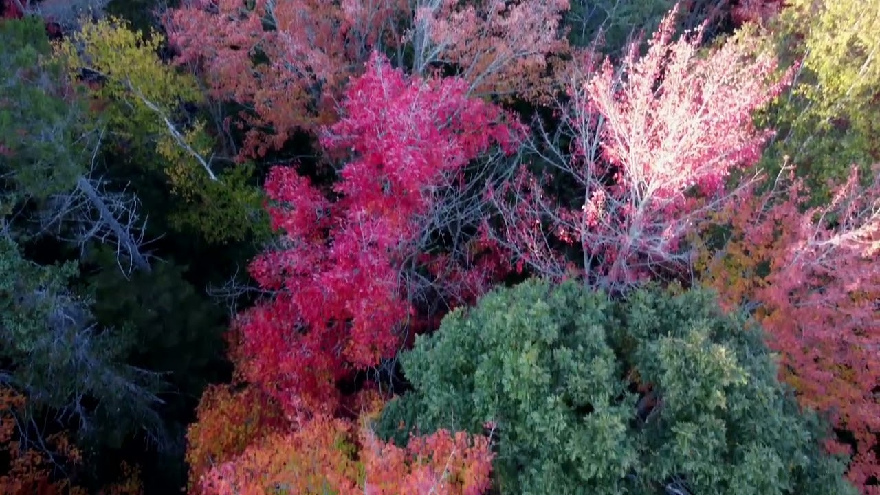 Nova Scotia fall colours