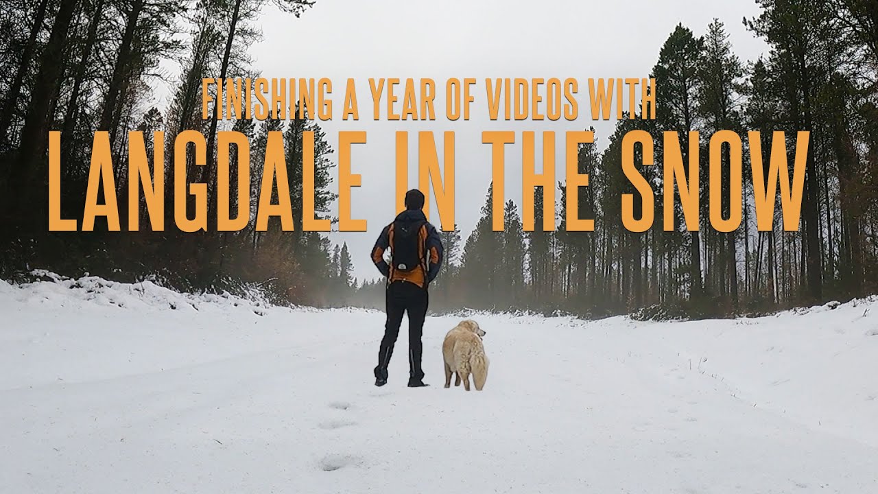 Walking Through Langdale Forest in the Snow | Channel Update | Rob's Walks