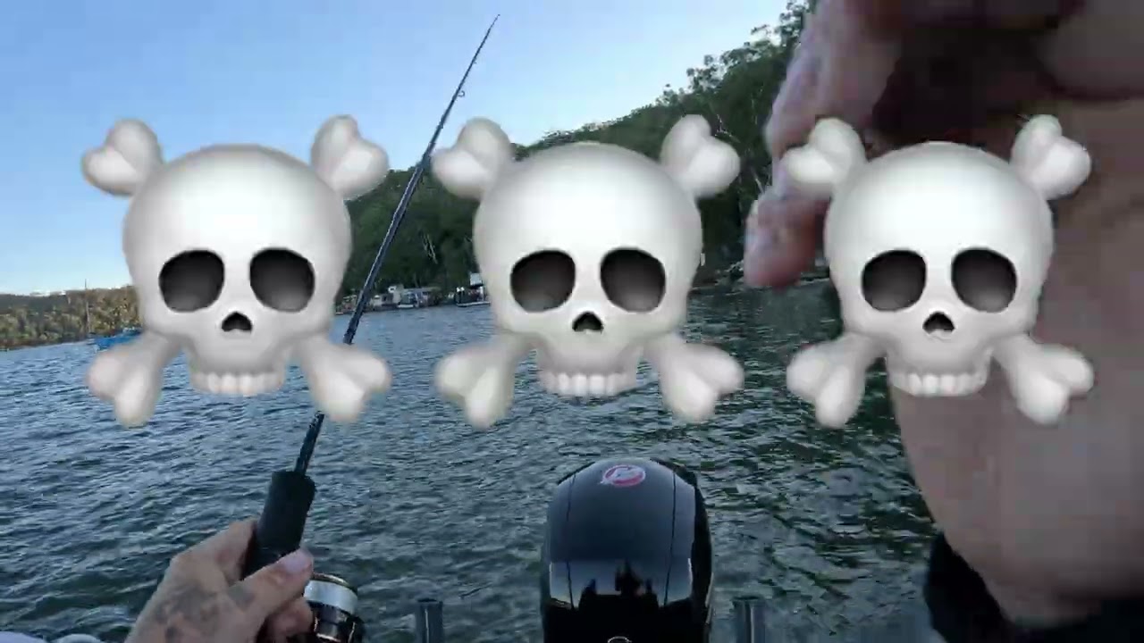 DUSTED!! Fishing for Hawkesbury River Mulloway 
