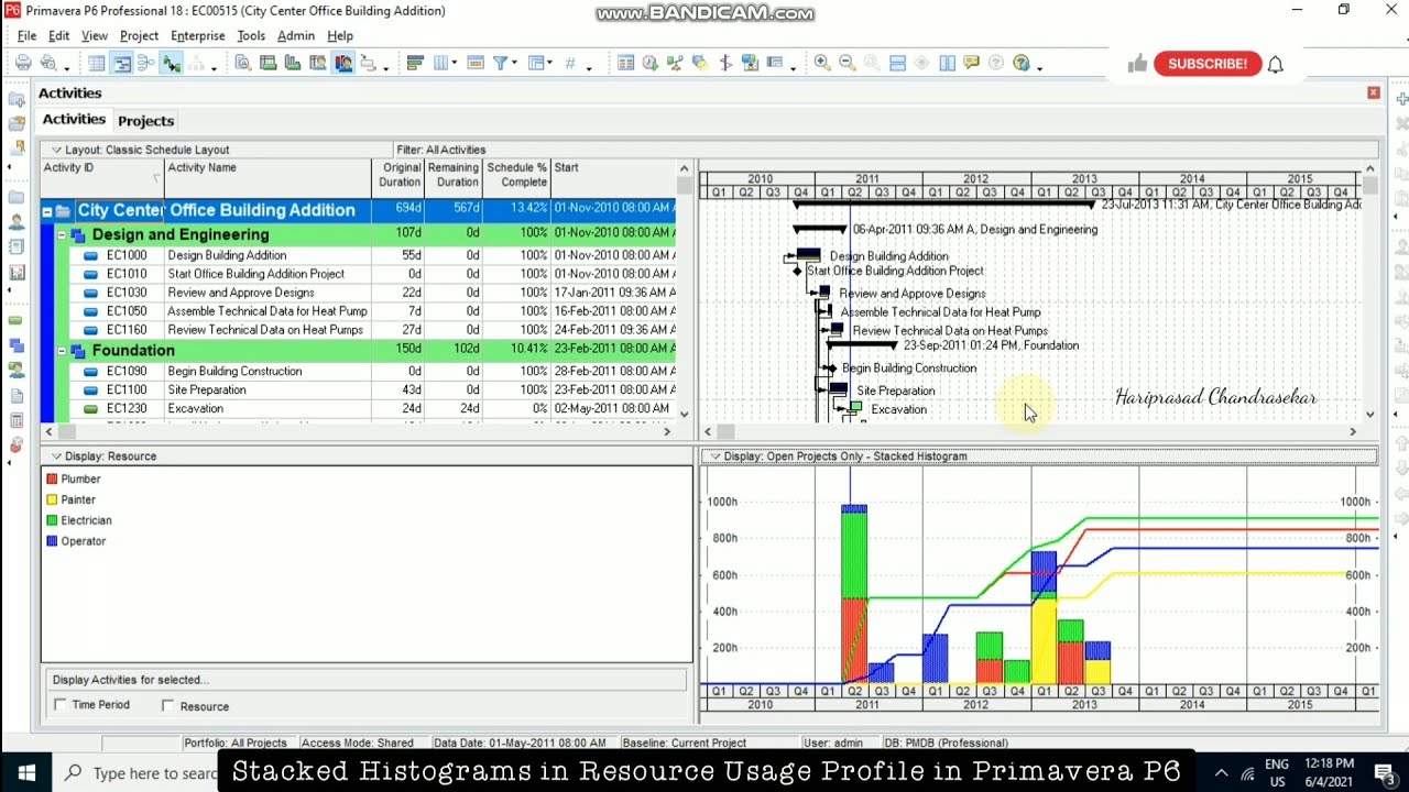 Stacked Histograms in Resource Usage Profile in Primavera P6
