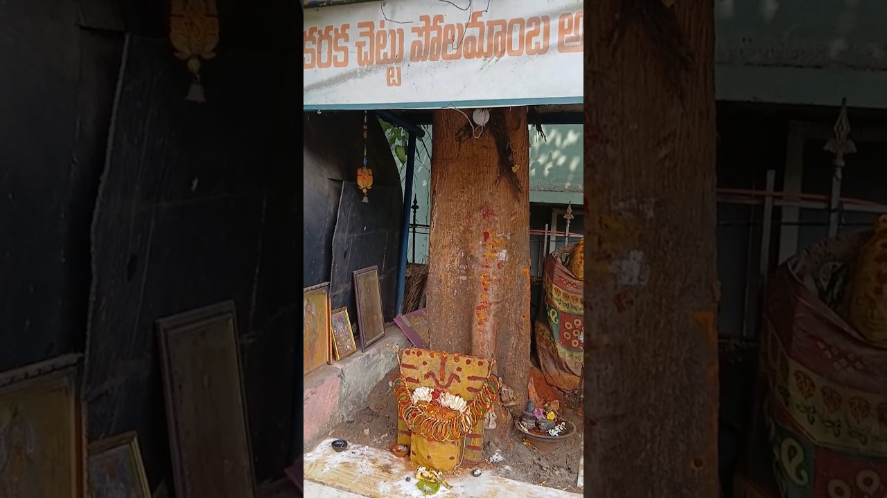 Polamamba  is a Goddess, a Village Deity ,protects those  who worship her in  Andhrapradesh.