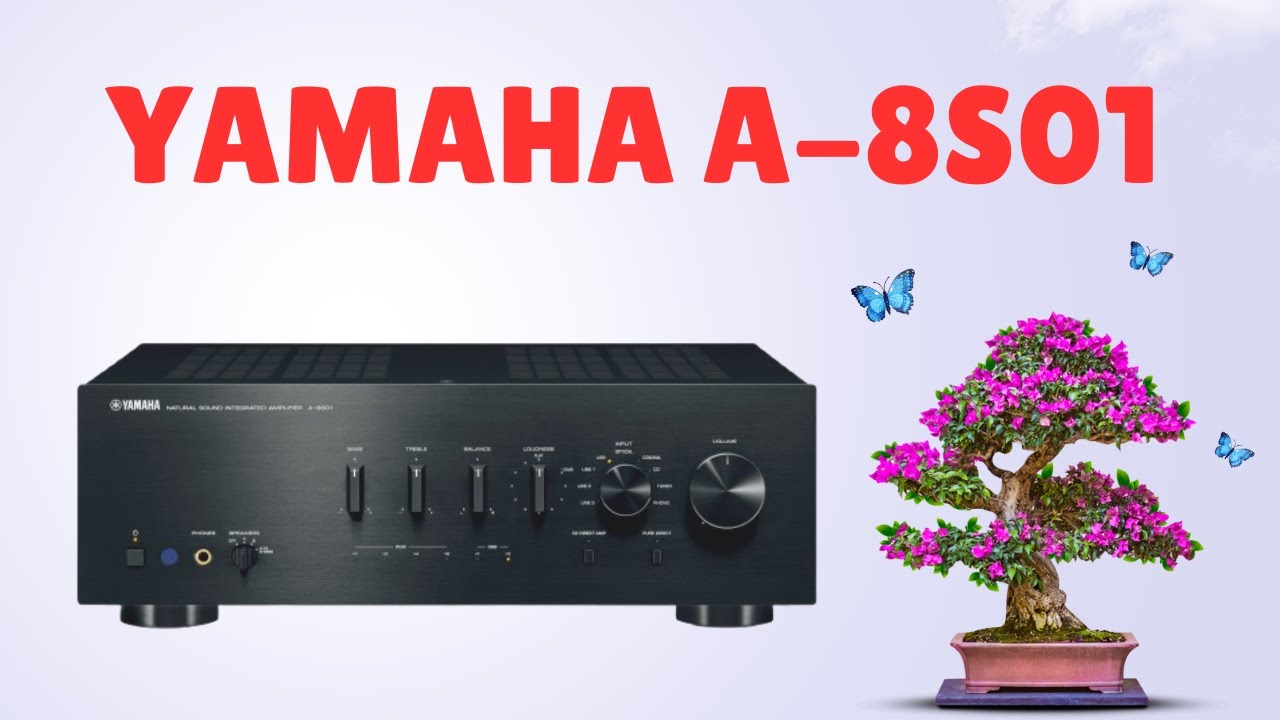 Yamaha A-S801 Natural Sound!
