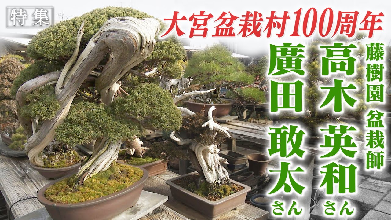 【報道特集】伝統・文化を守り続け１００年。大宮盆栽村の歴史を振り返る